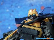 AOE Bumblebee (1)